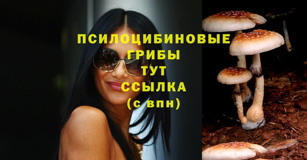 дмт Белокуриха