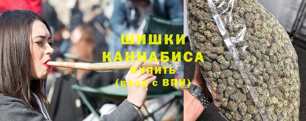 дмт Белокуриха