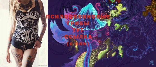 дмт Белокуриха